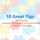 jigsaw puzzle image discussing the promotion of language in children with autism