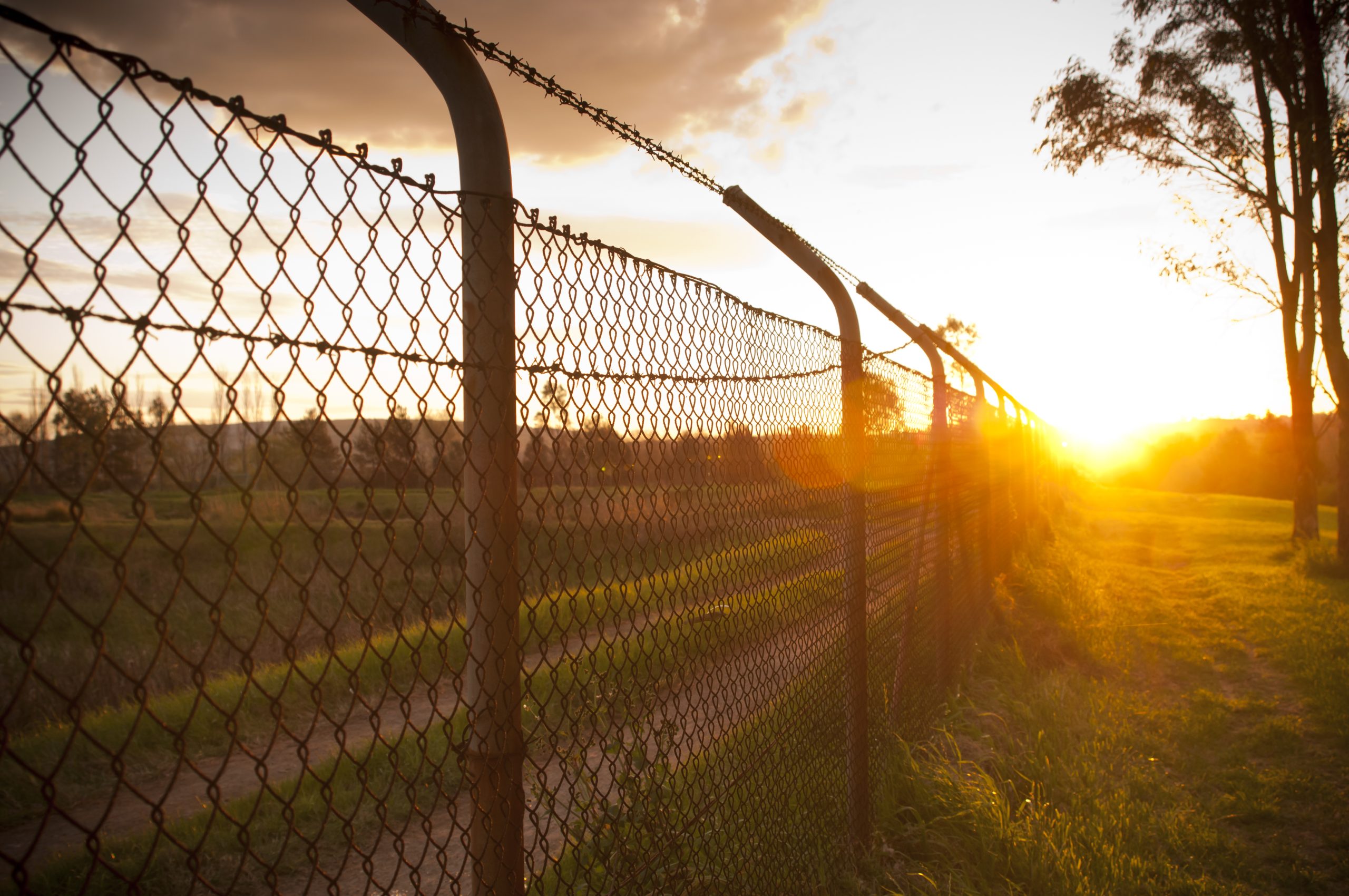 Virtual Speech Therapy Improves Prison Rehabilitation Programs