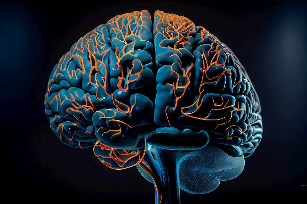 artistic render of the human brain showing how different parts are connected