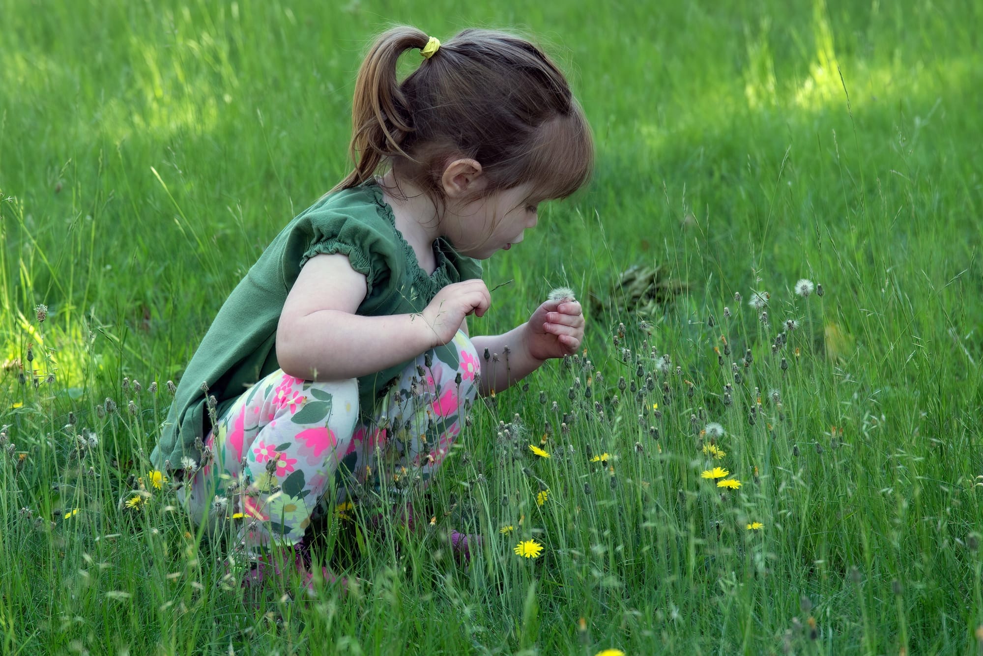 Speech Development Activities for 1-2 Year Olds